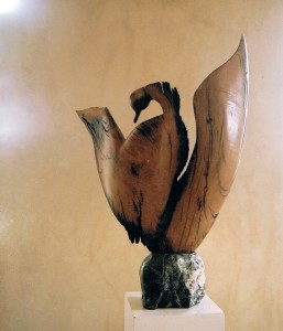 fais_moi_un_cygne